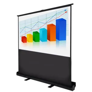 TheLAShop Floor Stand Pull Up Portable Projector Screen 60" 4:3