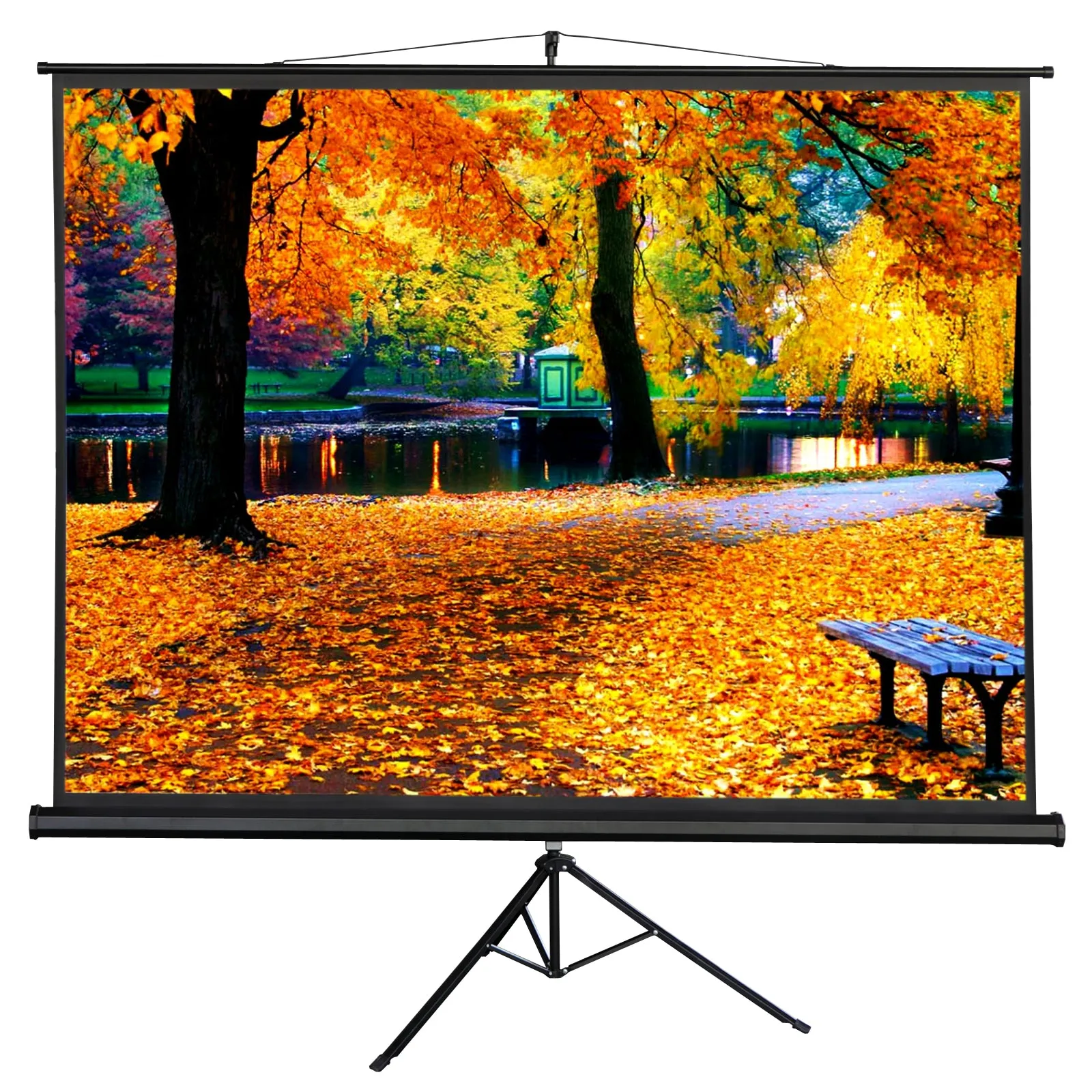 ZENY™ Manual Drop Down Projection Screen with Stand Diagonal 100 Inch HD 4:3 for Outdoor Indoor